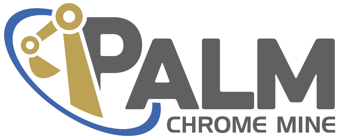 Palm Chrome